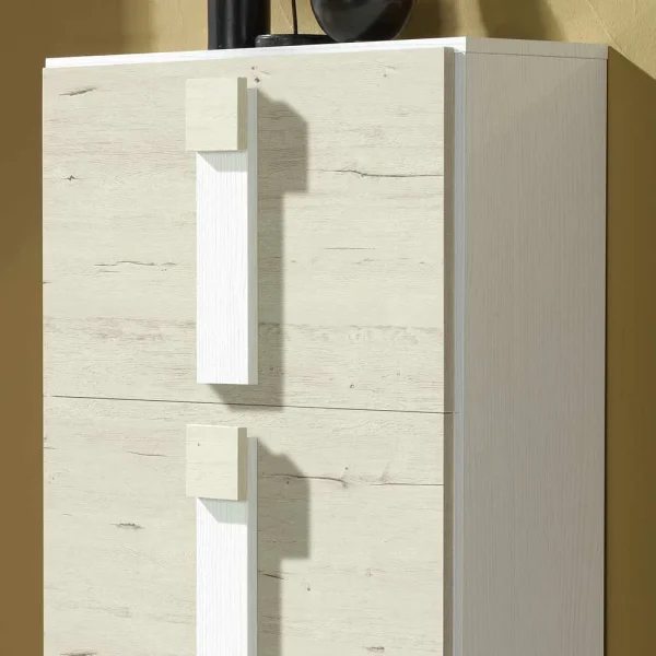 65x117x29 Schuhschrank Mit Drei Schuhklappen – Cocktail 5